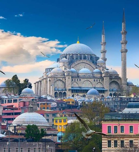 Turkish Visa from UAE