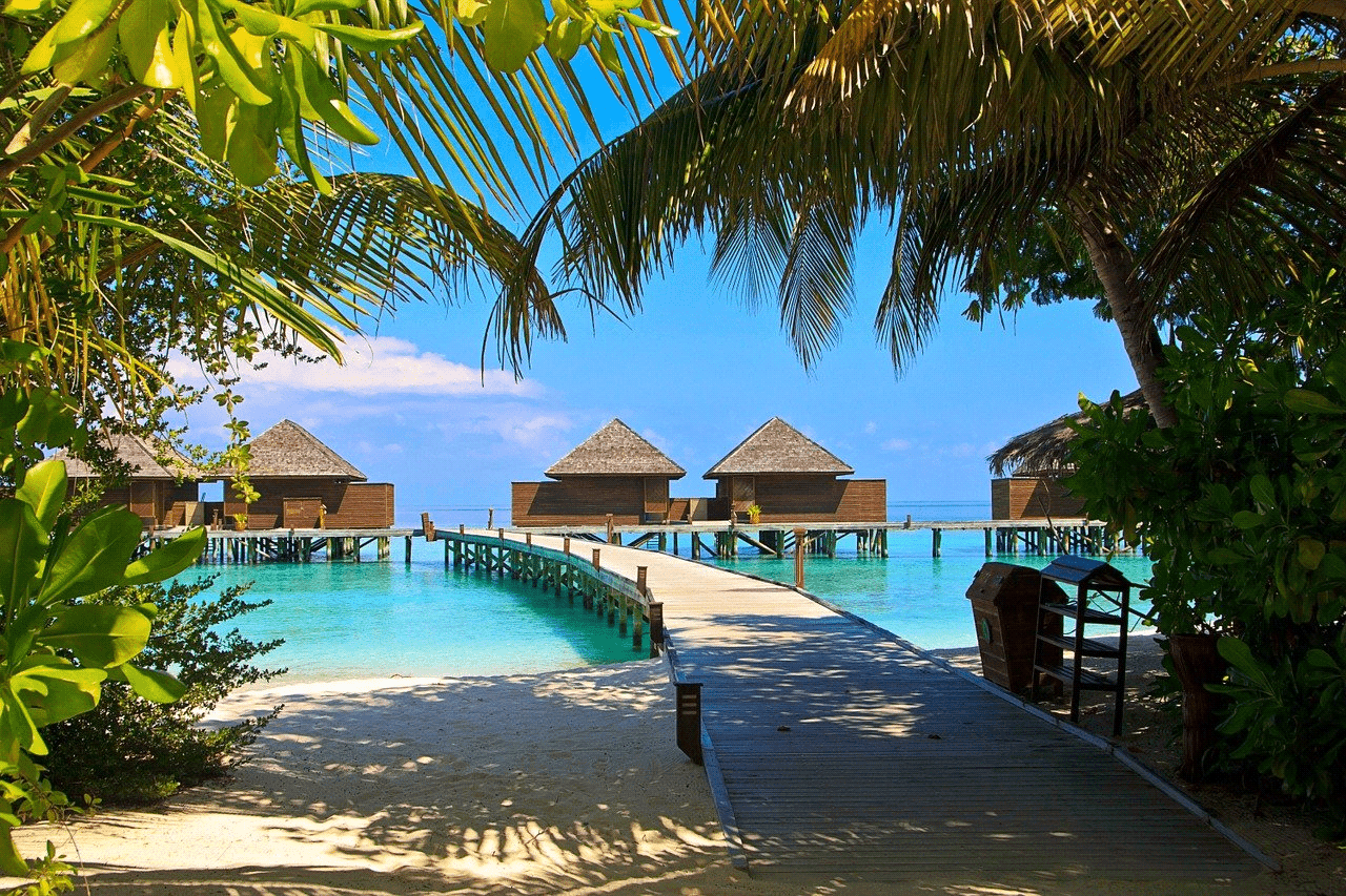 Maldives Tour Package