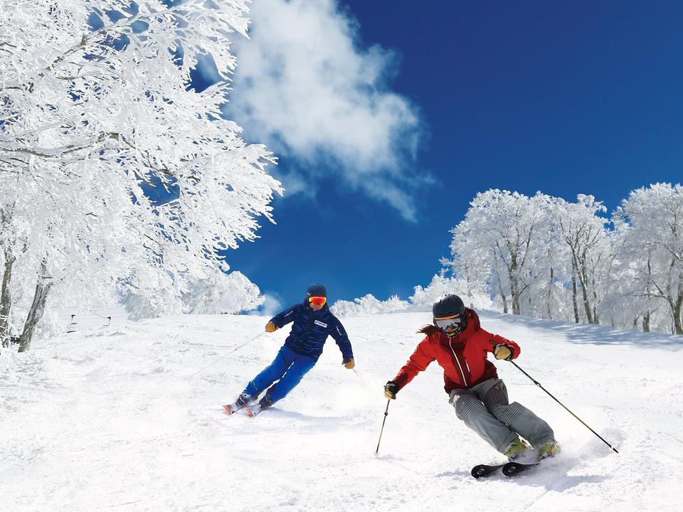 best skiing destinations to travel to from dubai - Japan