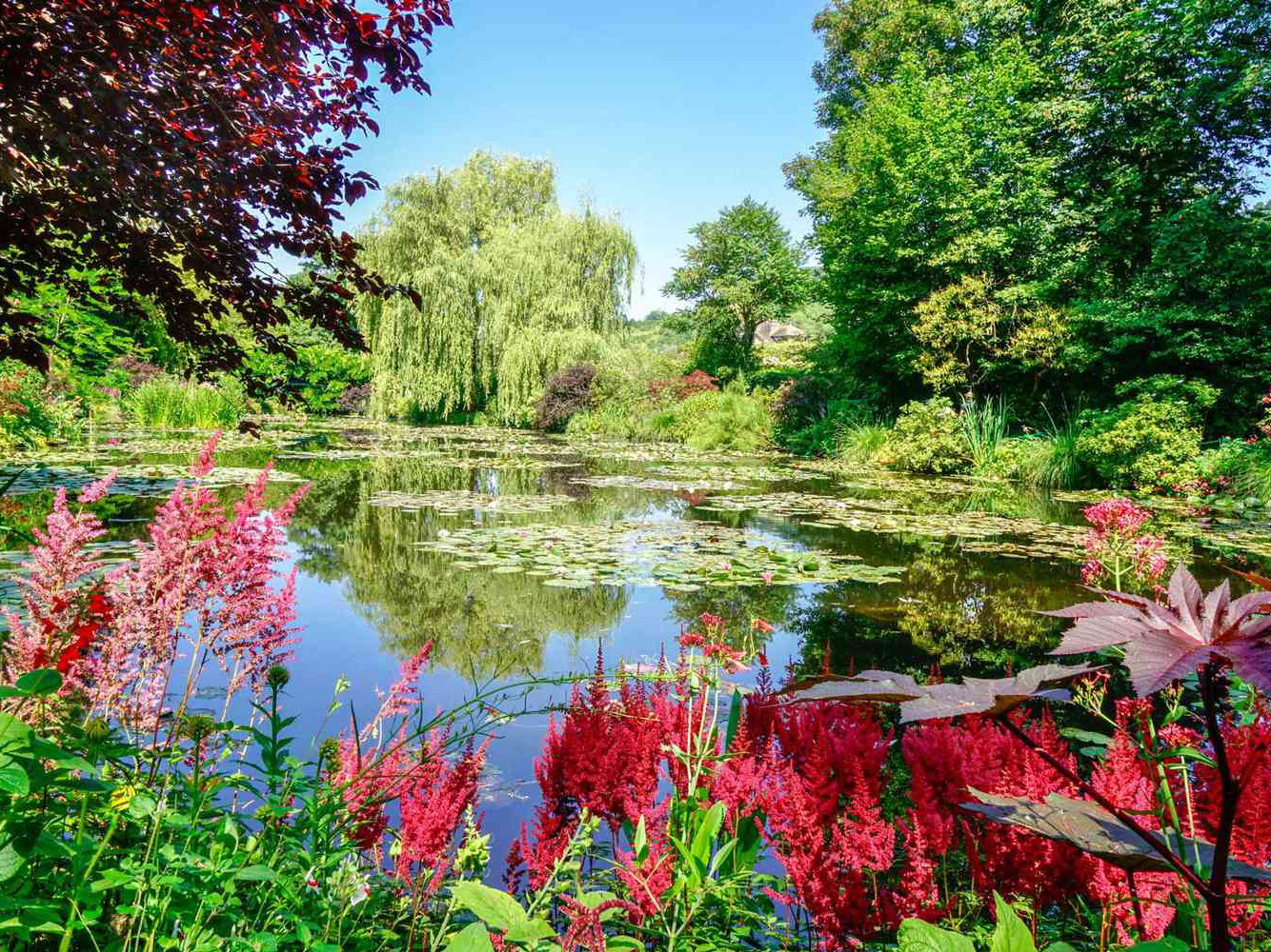 حدائق شتوية حول العالم - حديقة كلود مونيه، فرنسا