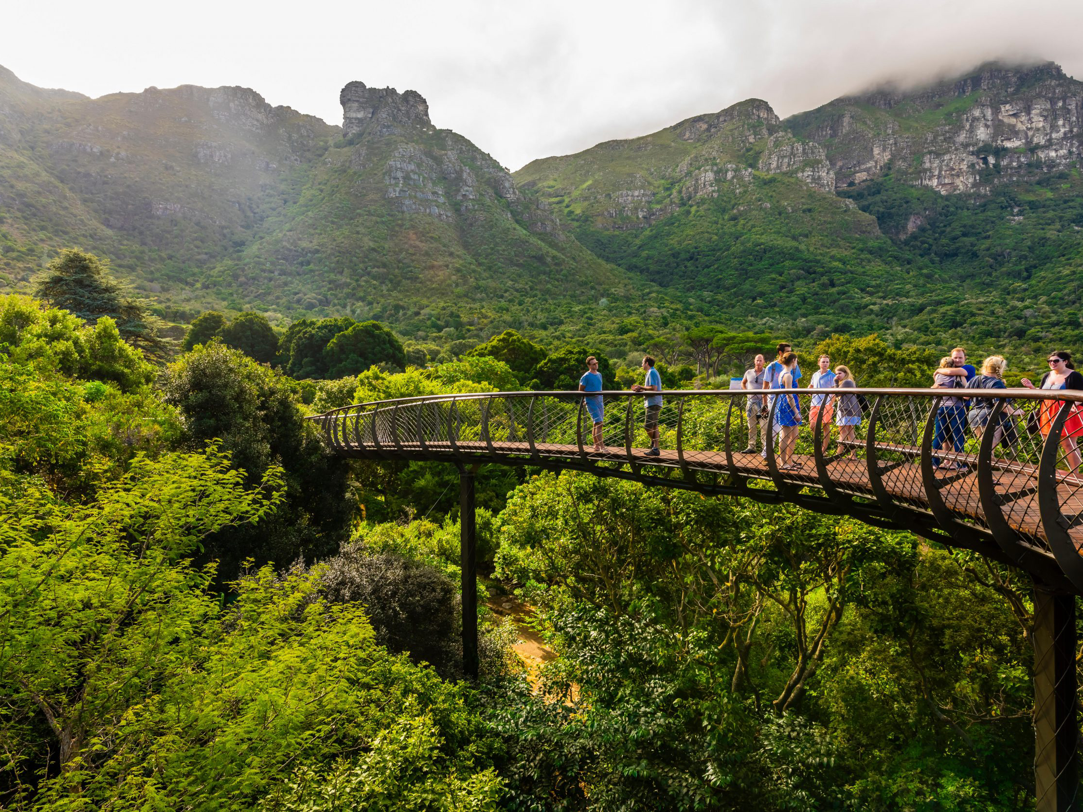 حدائق شتوية حول العالم - حديقة كريستينبوش النباتية الوطنية، جنوب أفريقيا