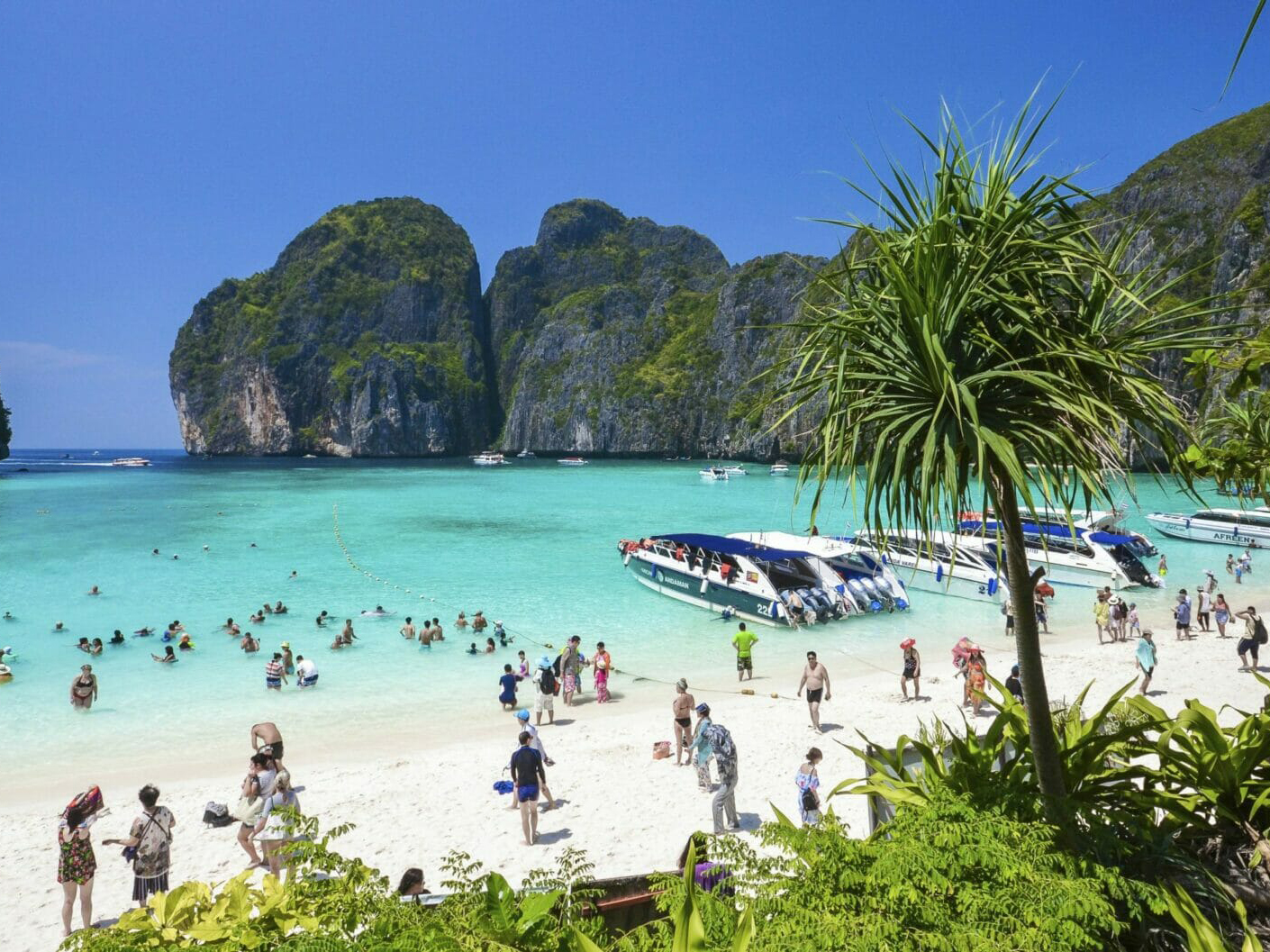 Thailand's must visit islands from Dubai - Phi Phi Islands