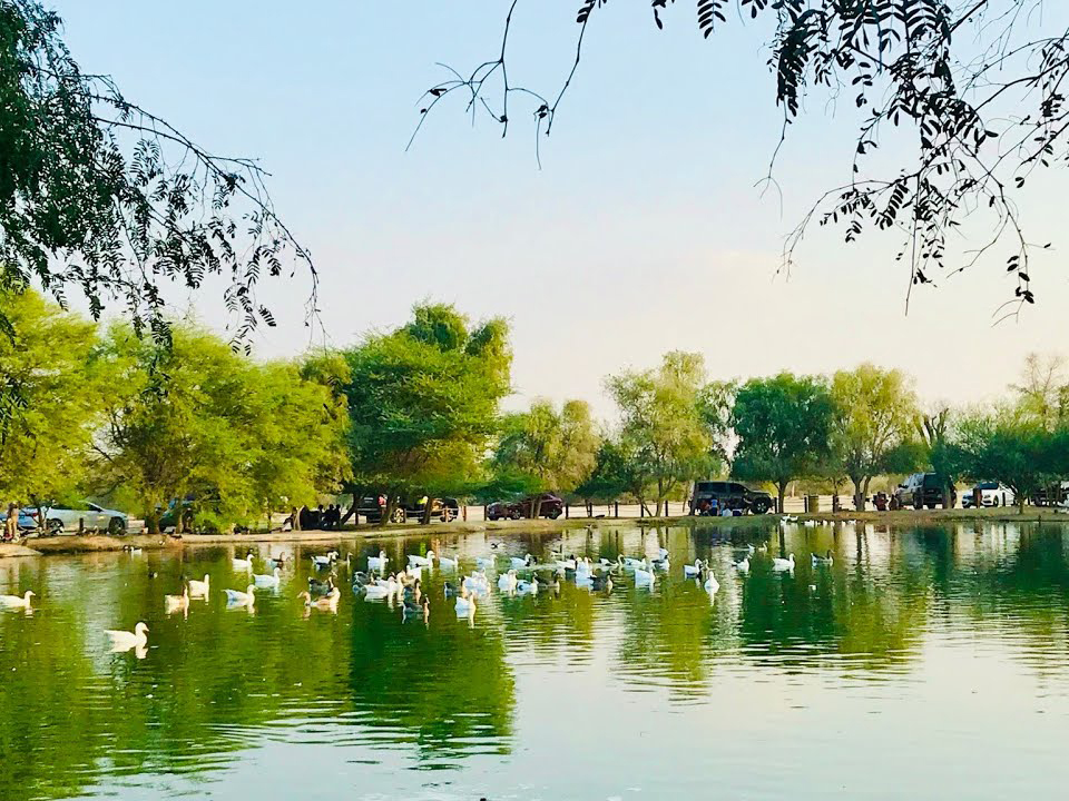 less crowded places to visit in uae during national day holidays - Al Qudra Lake