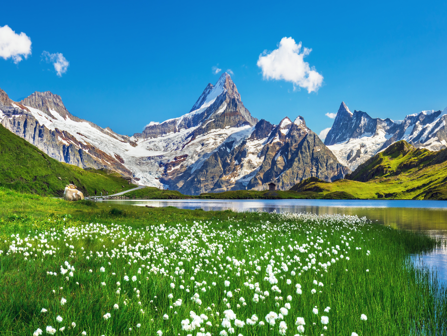 أشهر معالم السياحة في سويسرا لسكان الإمارات - جبال الألب السويسرية الخلابة