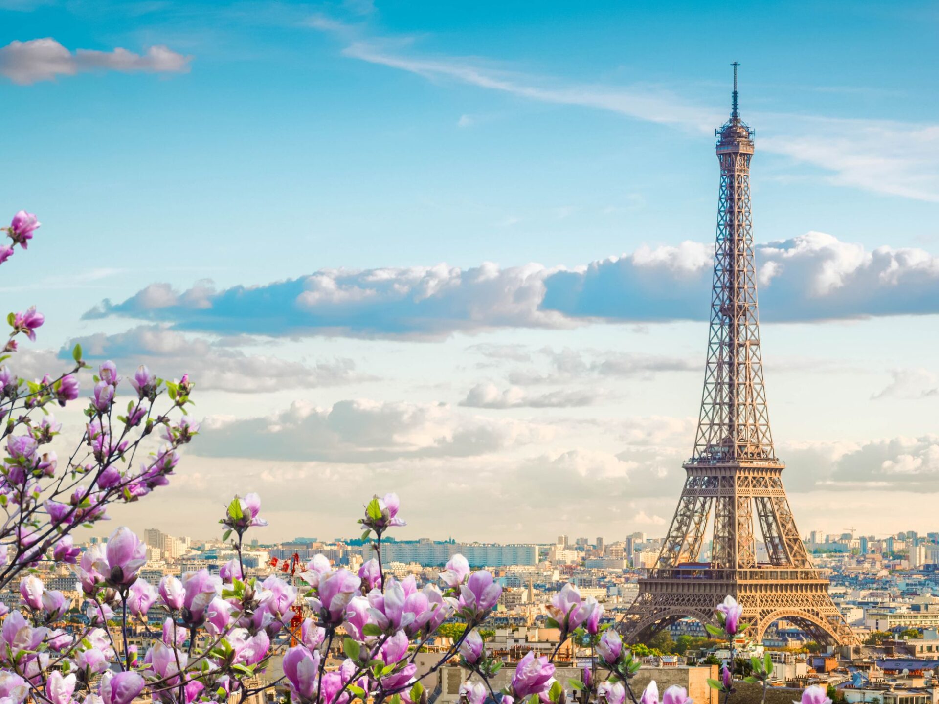 Best European Countries To Visit in Summer from UAE - France