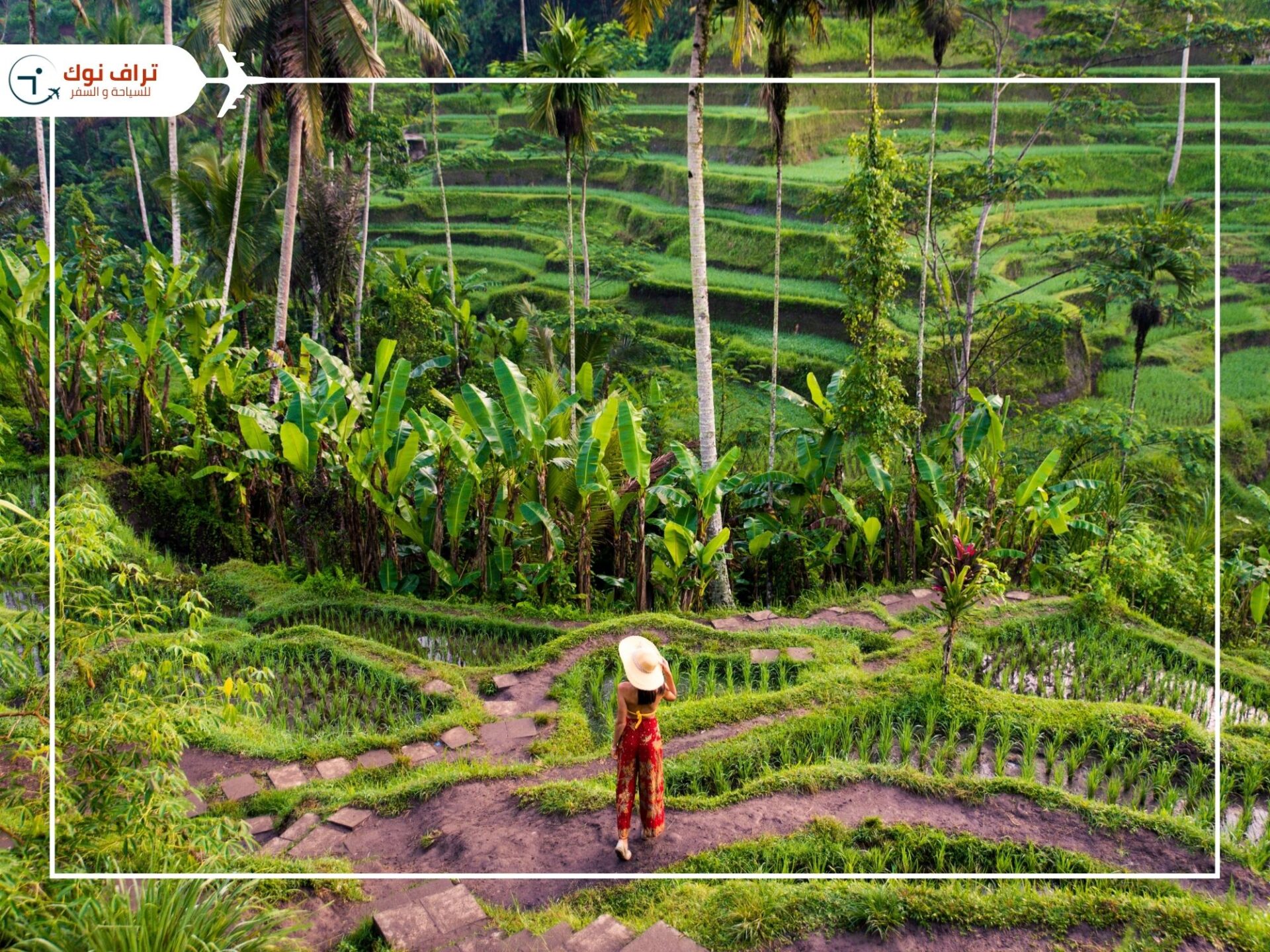 Most Beautiful Attractions in Bali - Tegalalang Rice Terraces
