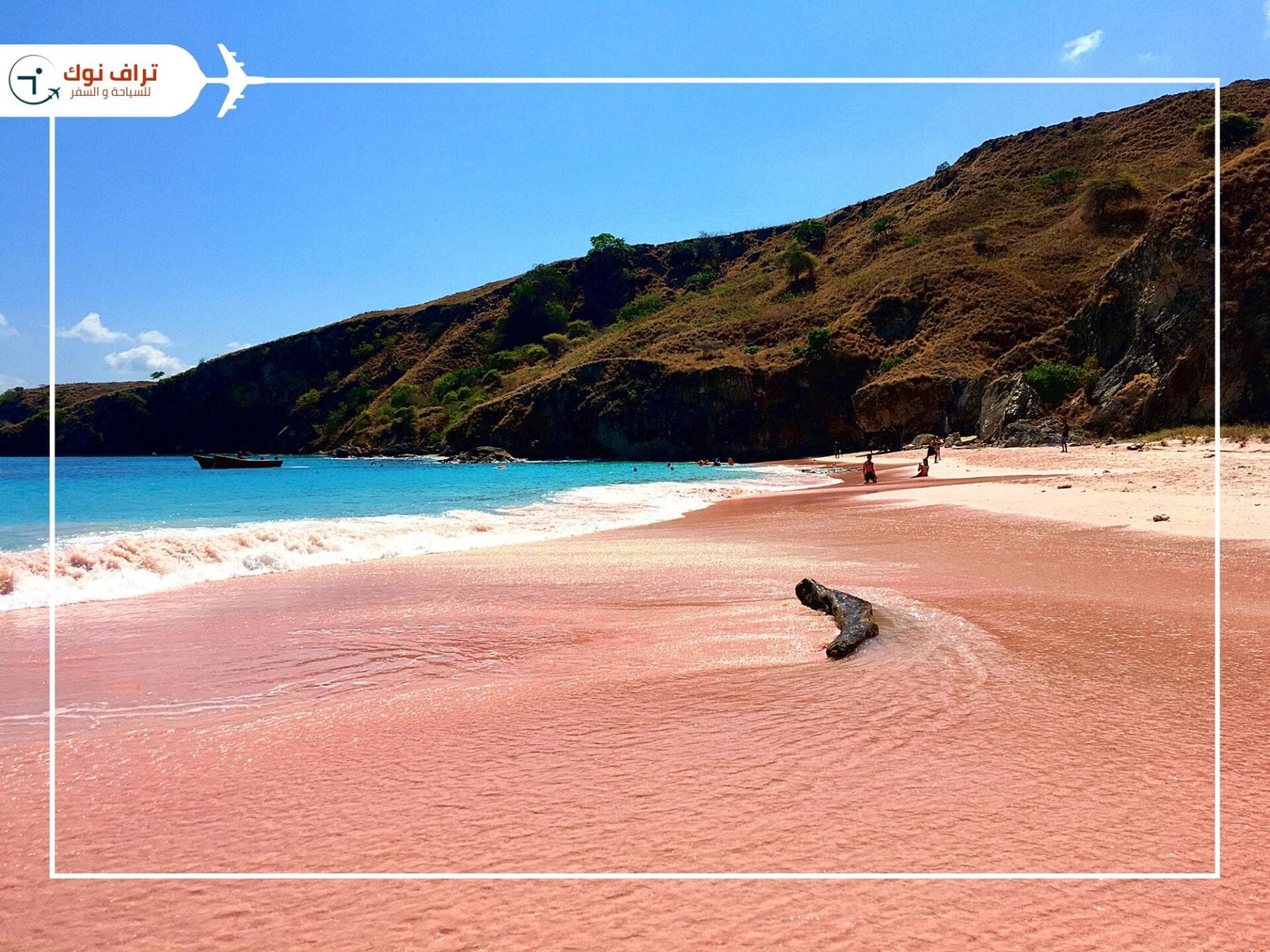 Komodo Island Famous Tourist Attractions in Indonesia - Komodo Island