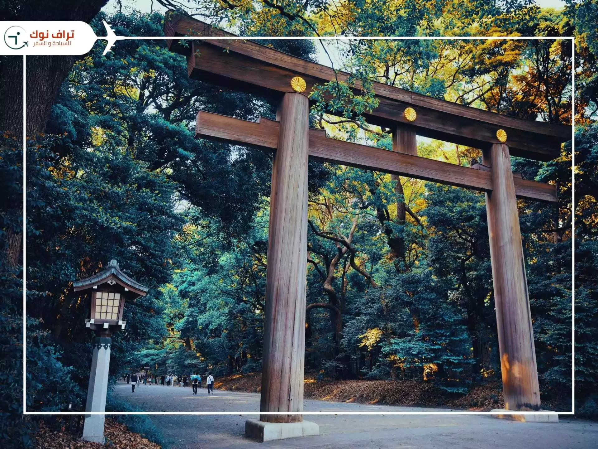 meiji-jingu- معبد ميجي