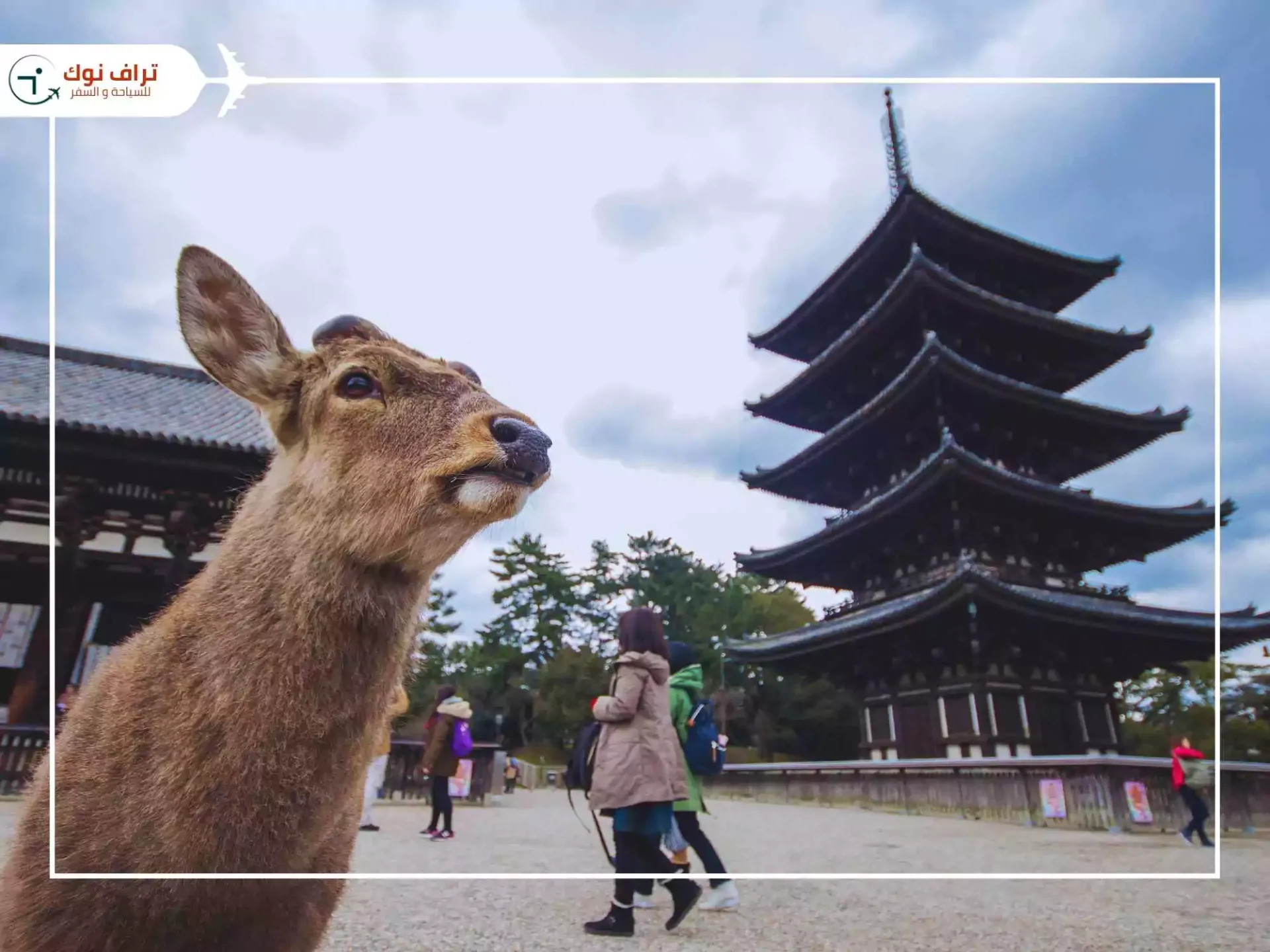 Best places to visit in Japan - Nara