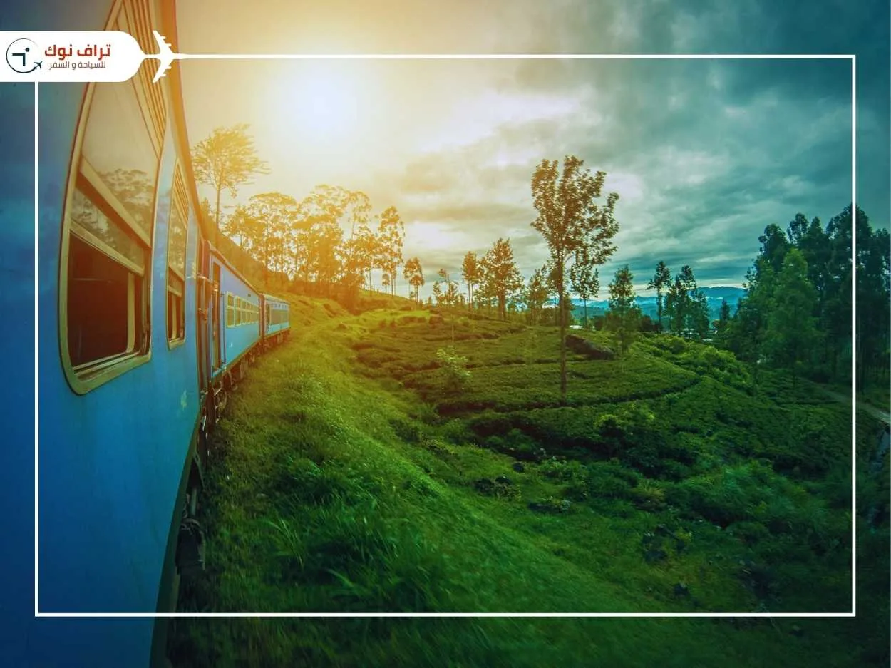 Sri Lanka Countries to Travel to During Christmas 2024 from Dubai-srilanka