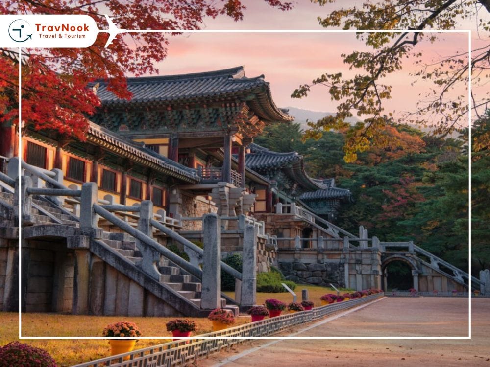 Best Things To Do in South Korea for UAE Travelers