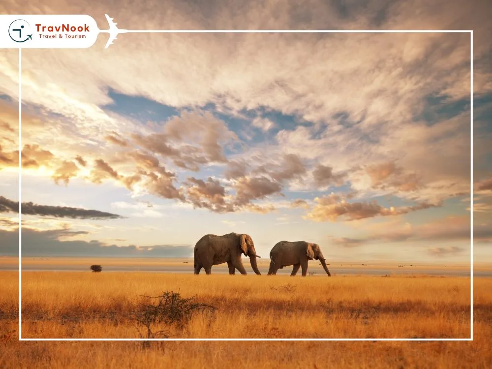Kenya Kenya - Visa On Arrival Countries For UAE Residents