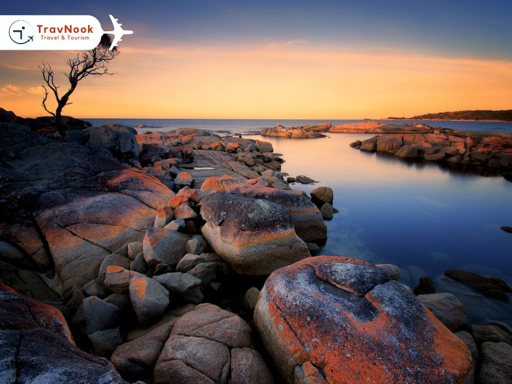 Best Places to Visit in Australia from the UAE – Tasmania Best Places to Visit in Australia - Tasmania