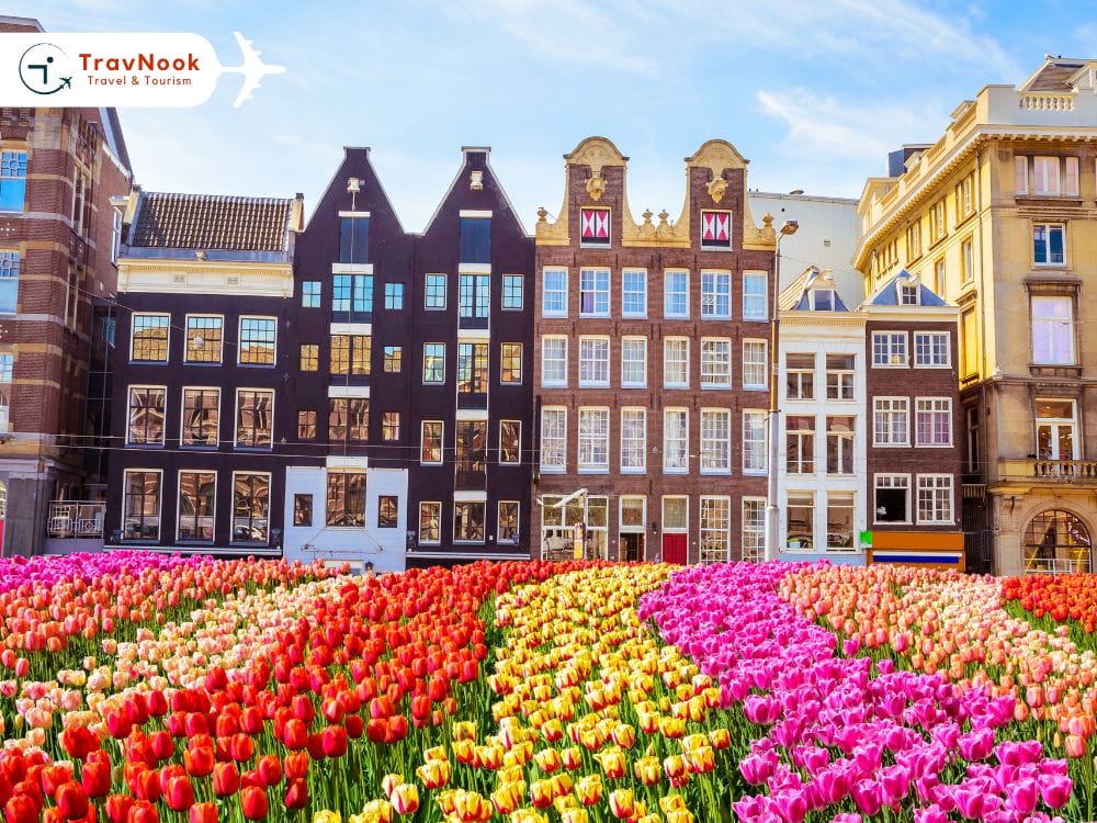 Best Places to Visit in July from UAE – Netherlands Best Places to Visit in July from UAE - Netherlands