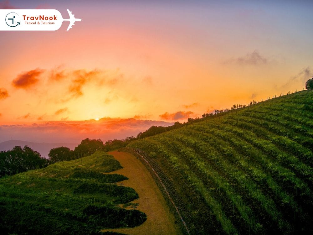 best places to visit south africa – Cape Winelands best places to visit south africa - Cape Winelands