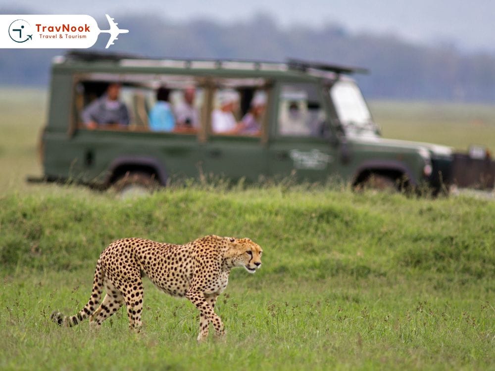 best places to visit south africa – Lion & Safari Park best places to visit south africa - Lion & Safari Park