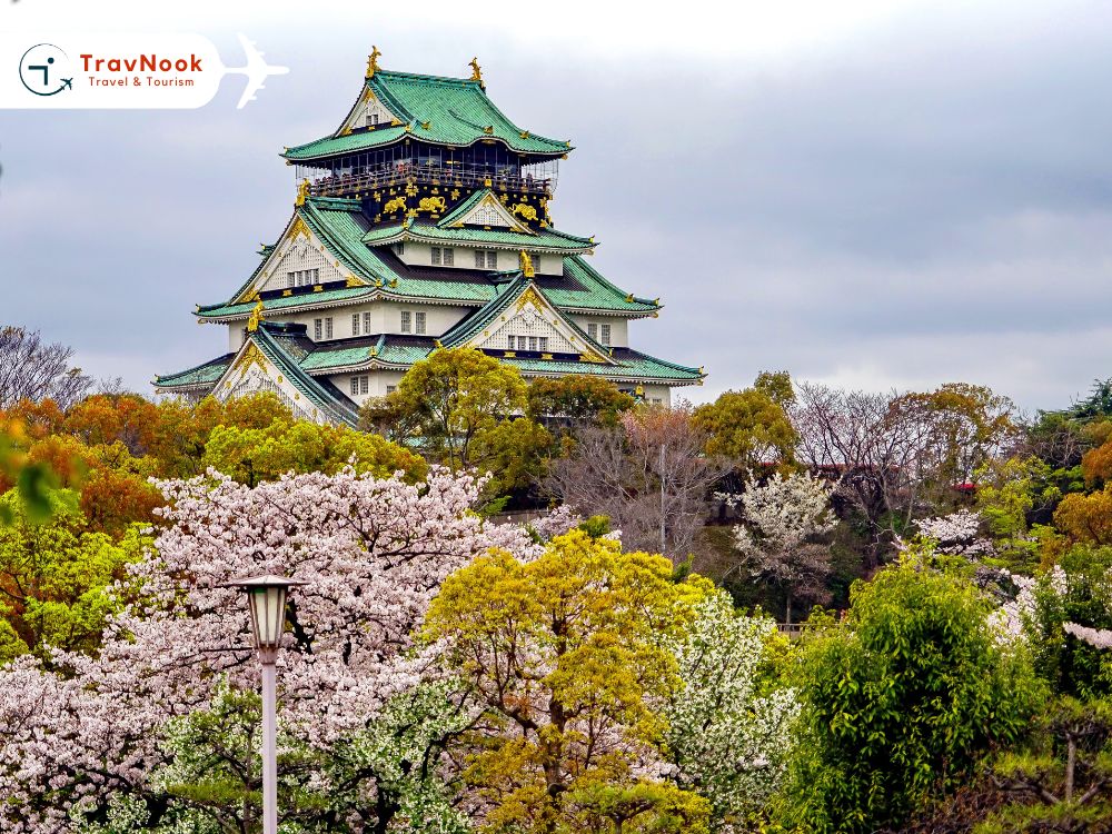japan تأشيرة بريطانيا الإلكترونية السياحية من الامارات