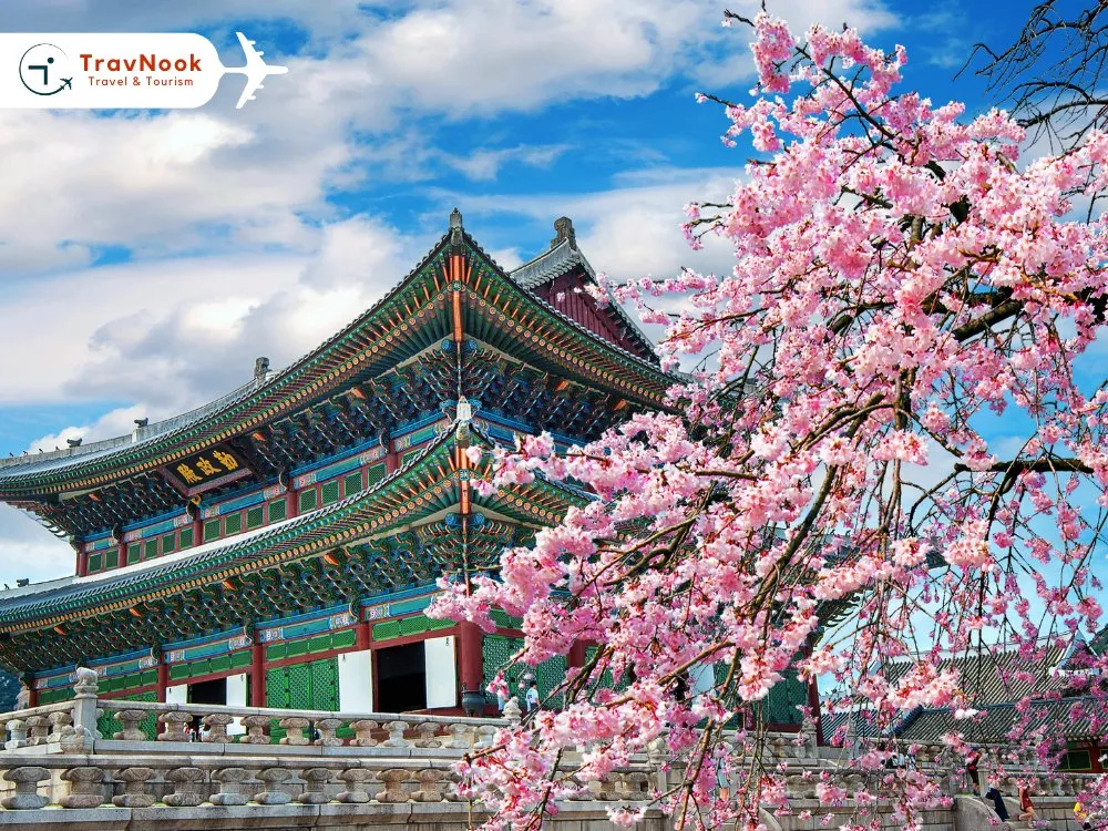 Best Places to Visit in October - South Korea