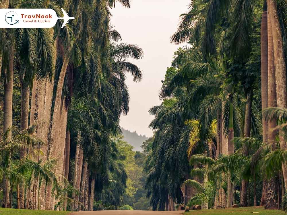 أفضل وجهات السياحة في شهر يناير للمقيمين في الإمارات - Sri lanka