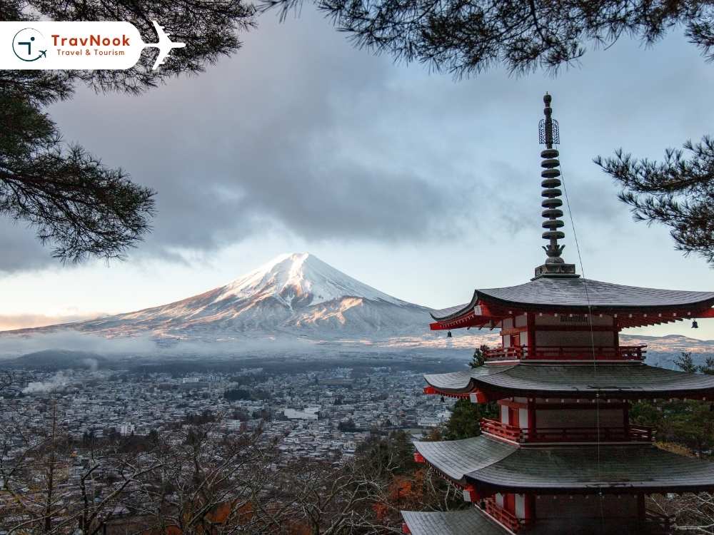 أفضل وجهات السياحة في شهر يناير للمقيمين في الإمارات -japan