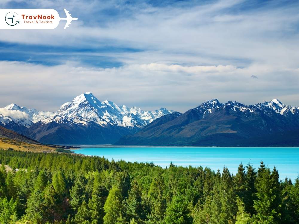كيف تخطط رحلتك إلى نيوزيلندا من الإمارات