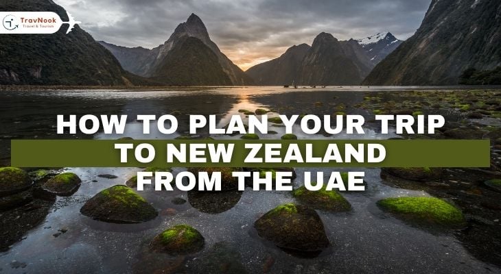 كيف تخطط رحلتك إلى نيوزيلندا من الإمارات