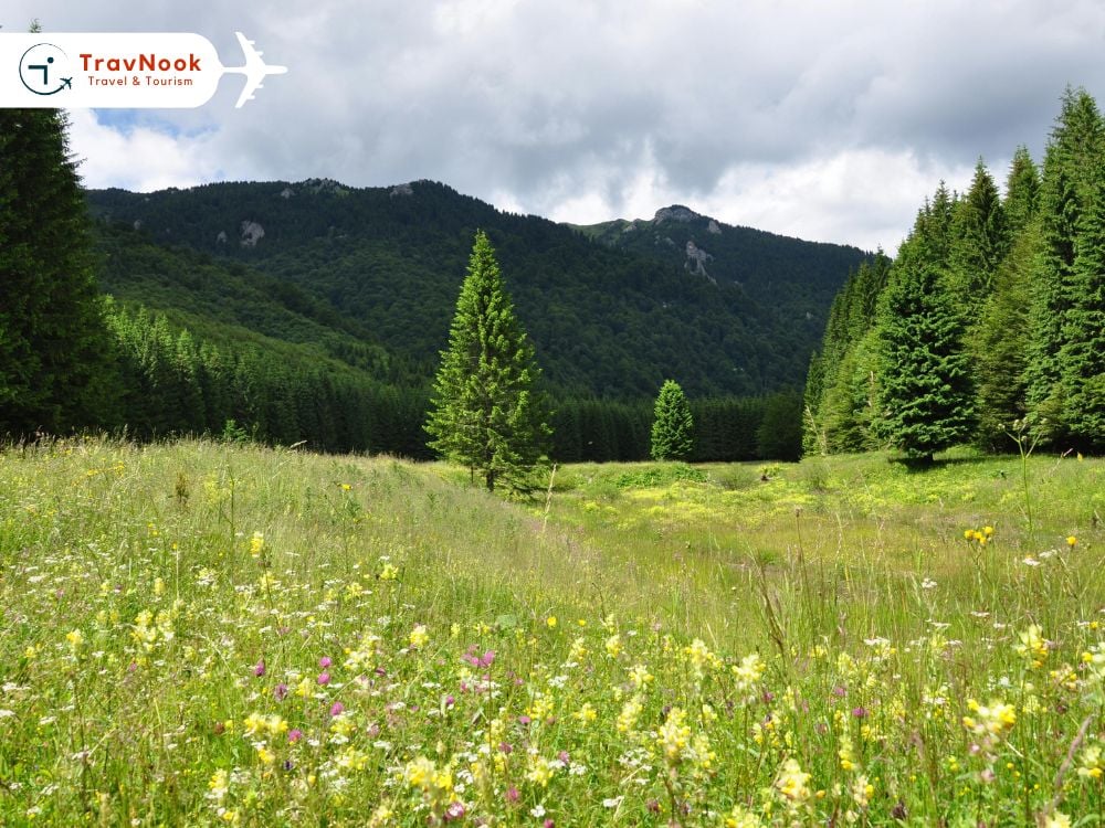 Best Places to Visit in Ireland – Wicklow Mountains Best Places to Visit in Ireland - Wicklow Mountains