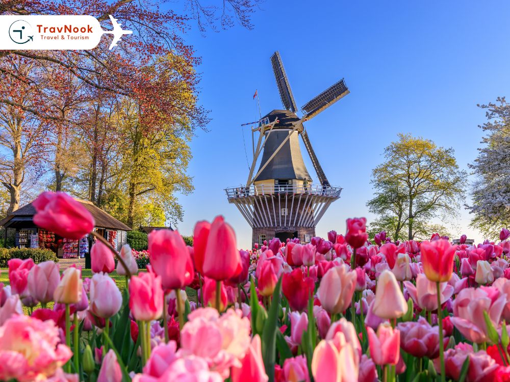 موعد الحصول على تأشيرة هولندا من دبي موعد الحصول على تأشيرة هولندا من دبي