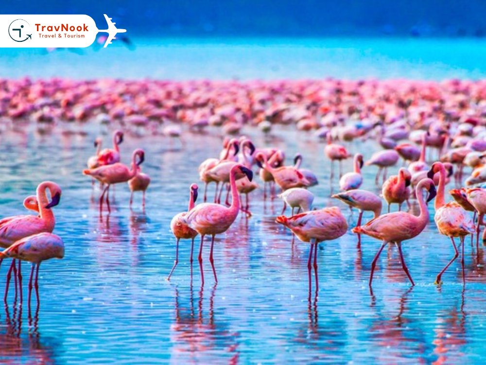Tanzania Safari – Lake Manyara National Park Tanzania Safari - Lake Manyara National Park