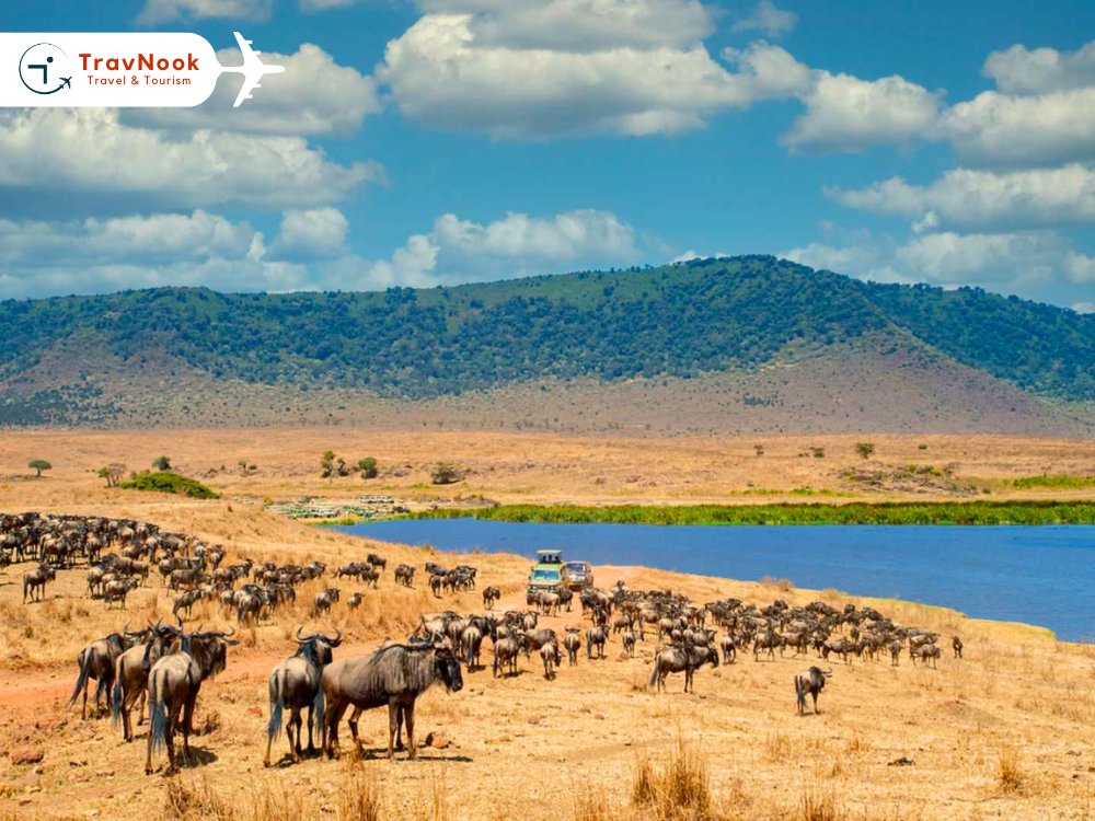 Tanzania Safari – Ngorongoro Crater Tanzania Safari - Ngorongoro Crater