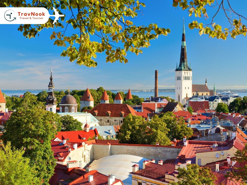 إستونيا من الإمارات العربية المتحدة – Tallinn إستونيا من الإمارات العربية المāتحدة - Tallinn